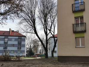 Zdjęcie 2 przedstawia problem zgłoszony w tym alercie