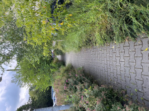 Zdjęcie 1 przedstawia problem zgłoszony w tym alercie