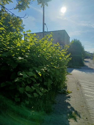 Zdjęcie 1 przedstawia problem zgłoszony w tym alercie