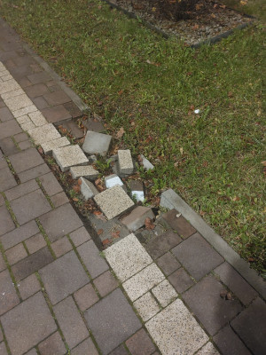 Zdjęcie 1 przedstawia problem zgłoszony w tym alercie