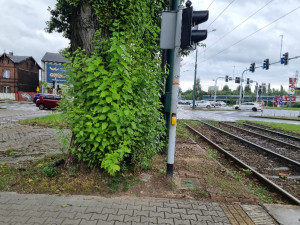 Zdjęcie 1 przedstawia problem zgłoszony w tym alercie