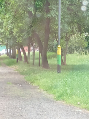 Zdjęcie 5 przedstawia problem zgłoszony w tym alercie