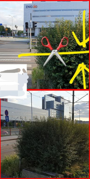 Zdjęcie 1 przedstawia problem zgłoszony w tym alercie