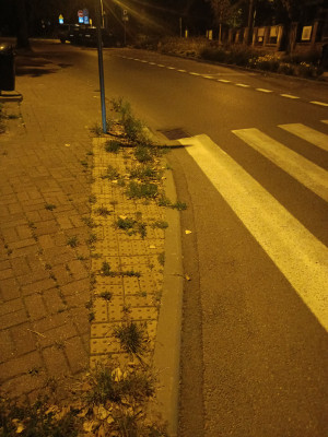 Zdjęcie 1 przedstawia problem zgłoszony w tym alercie