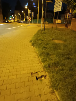 Zdjęcie 1 przedstawia problem zgłoszony w tym alercie