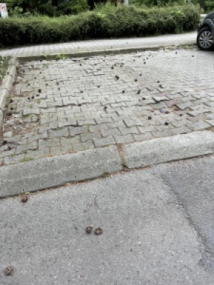 Zdjęcie 3 przedstawia problem zgłoszony w tym alercie