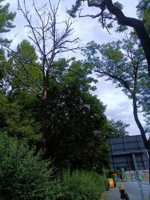 Zdjęcie 2 przedstawia problem zgłoszony w tym alercie