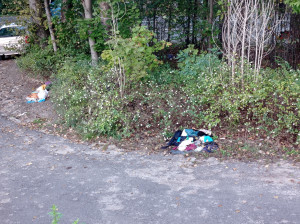 Zdjęcie 1 przedstawia problem zgłoszony w tym alercie