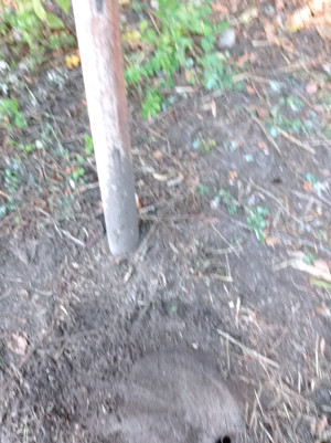 Zdjęcie 2 przedstawia problem zgłoszony w tym alercie