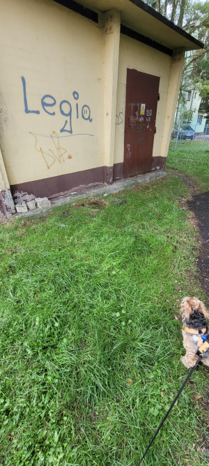 Zdjęcie 3 przedstawia problem zgłoszony w tym alercie