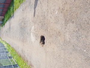 Zdjęcie 1 przedstawia problem zgłoszony w tym alercie