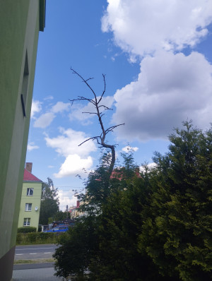 Zdjęcie 2 przedstawia problem zgłoszony w tym alercie