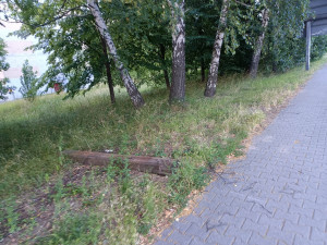 Zdjęcie 3 przedstawia problem zgłoszony w tym alercie