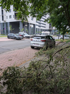 Zdjęcie 1 przedstawia problem zgłoszony w tym alercie