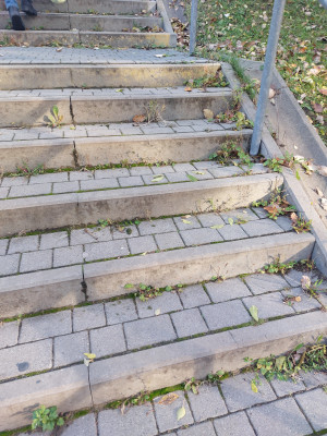 Zdjęcie 3 przedstawia problem zgłoszony w tym alercie