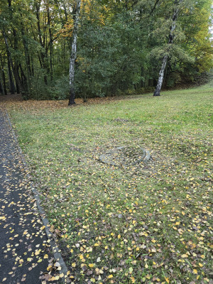 Zdjęcie 2 przedstawia problem zgłoszony w tym alercie
