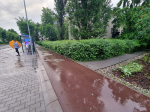 Zdjęcie 2 przedstawia problem zgłoszony w tym alercie