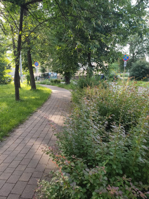 Zdjęcie 2 przedstawia problem zgłoszony w tym alercie