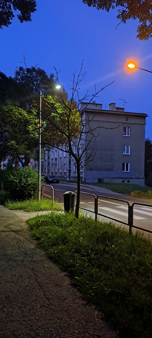 Zdjęcie 1 przedstawia problem zgłoszony w tym alercie