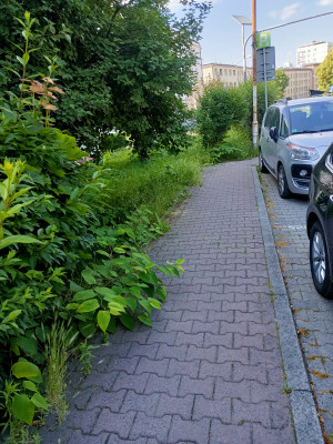 Zdjęcie 2 przedstawia problem zgłoszony w tym alercie