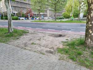Zdjęcie 1 przedstawia problem zgłoszony w tym alercie
