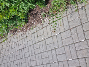 Zdjęcie 2 przedstawia problem zgłoszony w tym alercie