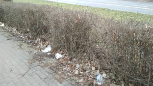 Zdjęcie 4 przedstawia problem zgłoszony w tym alercie