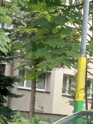 Zdjęcie 2 przedstawia problem zgłoszony w tym alercie