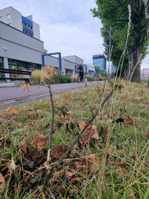 Zdjęcie 4 przedstawia problem zgłoszony w tym alercie