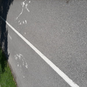 Zdjęcie 4 przedstawia problem zgłoszony w tym alercie