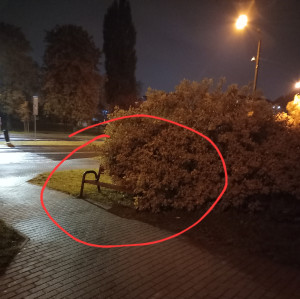 Zdjęcie 1 przedstawia problem zgłoszony w tym alercie
