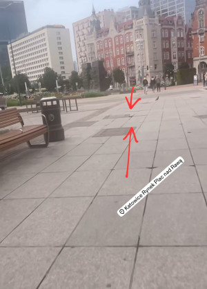 Zdjęcie 2 przedstawia problem zgłoszony w tym alercie