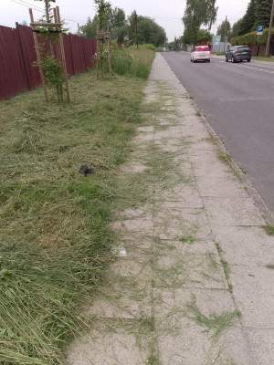 Zdjęcie 1 przedstawia problem zgłoszony w tym alercie