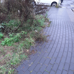 Zdjęcie 2 przedstawia problem zgłoszony w tym alercie
