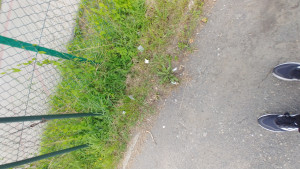 Zdjęcie 3 przedstawia problem zgłoszony w tym alercie