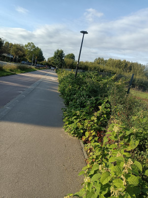 Zdjęcie 2 przedstawia problem zgłoszony w tym alercie