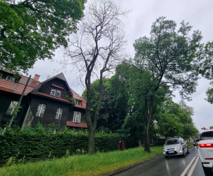 Zdjęcie 1 przedstawia problem zgłoszony w tym alercie