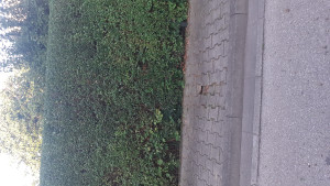 Zdjęcie 3 przedstawia problem zgłoszony w tym alercie