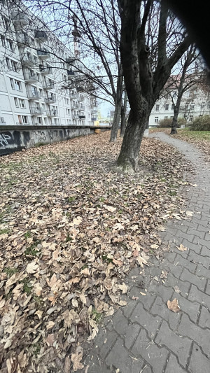 Zdjęcie 1 przedstawia problem zgłoszony w tym alercie