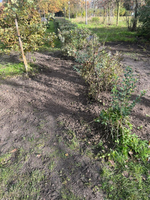 Zdjęcie 2 przedstawia problem zgłoszony w tym alercie