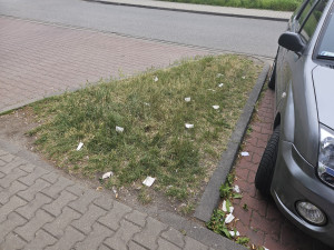 Zdjęcie 2 przedstawia problem zgłoszony w tym alercie