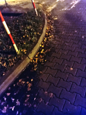 Zdjęcie 3 przedstawia problem zgłoszony w tym alercie