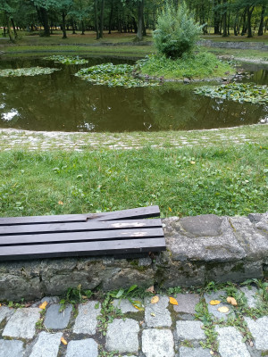 Zdjęcie 1 przedstawia problem zgłoszony w tym alercie