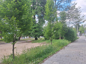 Zdjęcie 1 przedstawia problem zgłoszony w tym alercie
