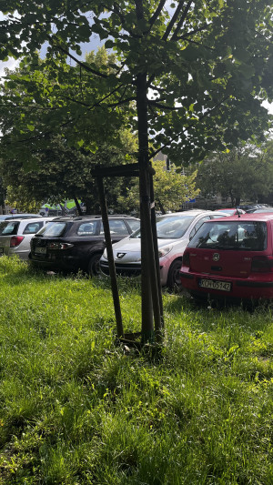 Zdjęcie 4 przedstawia problem zgłoszony w tym alercie