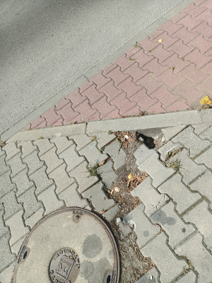 Zdjęcie 1 przedstawia problem zgłoszony w tym alercie