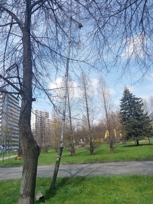 Zdjęcie 1 przedstawia problem zgłoszony w tym alercie
