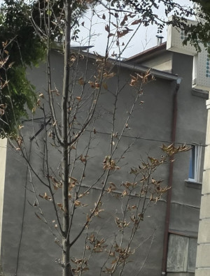 Zdjęcie 1 przedstawia problem zgłoszony w tym alercie