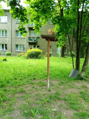 Zdjęcie 3 przedstawia problem zgłoszony w tym alercie