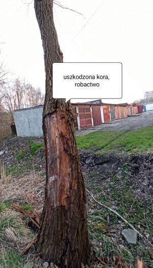 Zdjęcie 3 przedstawia problem zgłoszony w tym alercie